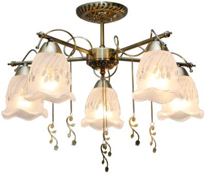 Потолочная люстра Toplight Delia TL1195X-05AB