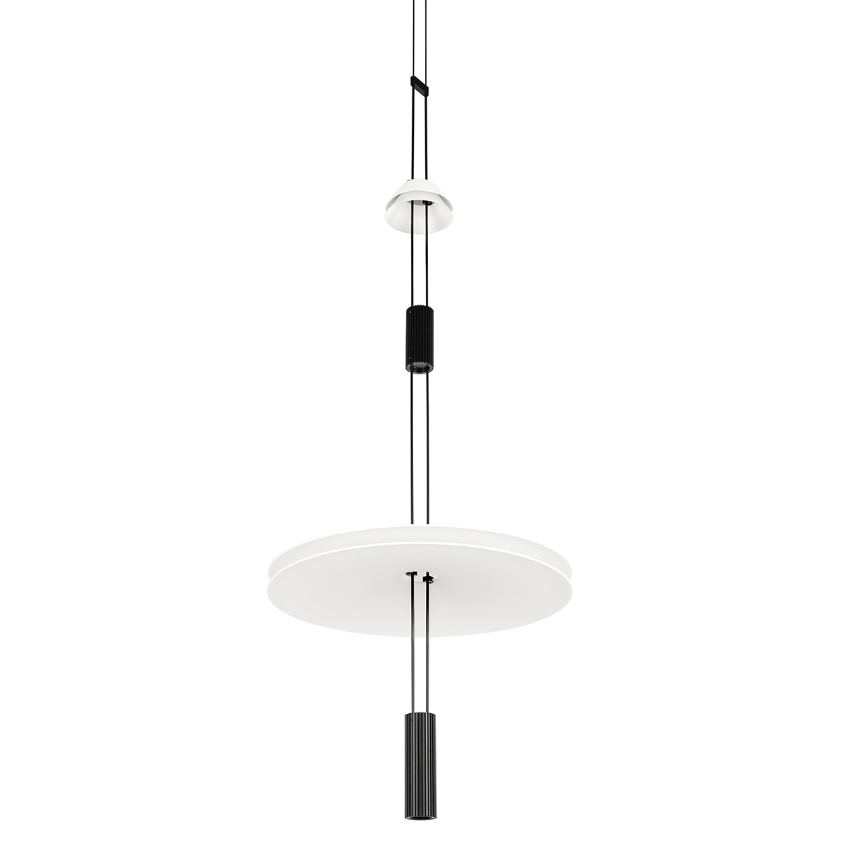 Подвесной светильник Loft IT Flamingo 10598B