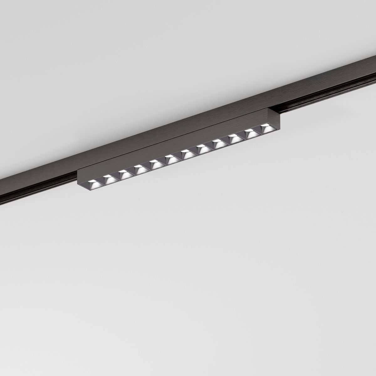 Трековый магнитный светильник Elektrostandard Line Magnetic 85528/01 4690389220586 a072694