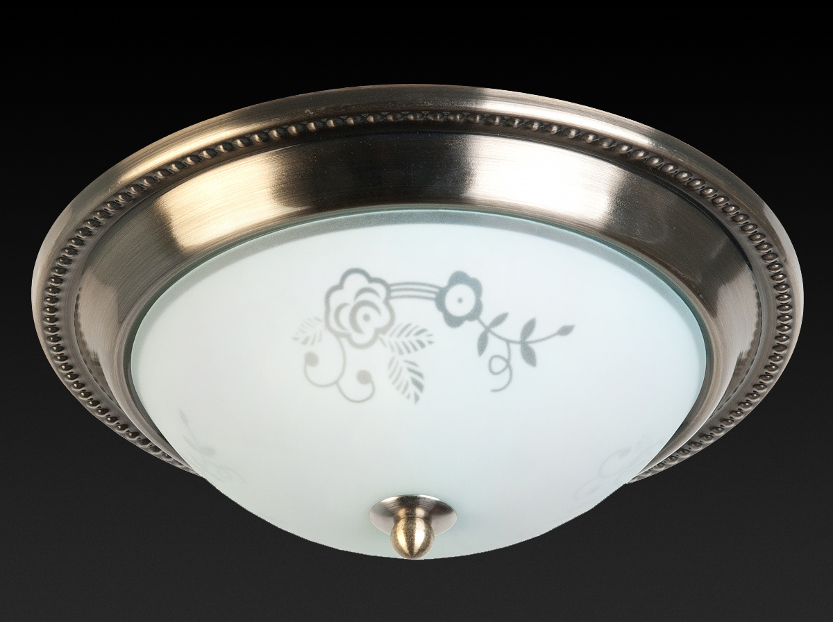 Накладной светильник Toplight Molly TL5020Y-02AB