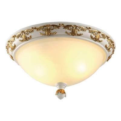 Потолочный светильник Arte Lamp Benessere A9570PL-2WG