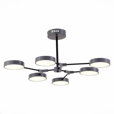 Потолочный светильник Evoluce Monta SLE6003-702-06