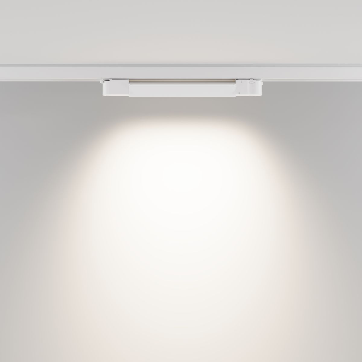 Трековый трехфазный светильник Maytoni Technical Basis TR196-3-10W4K-W(N)