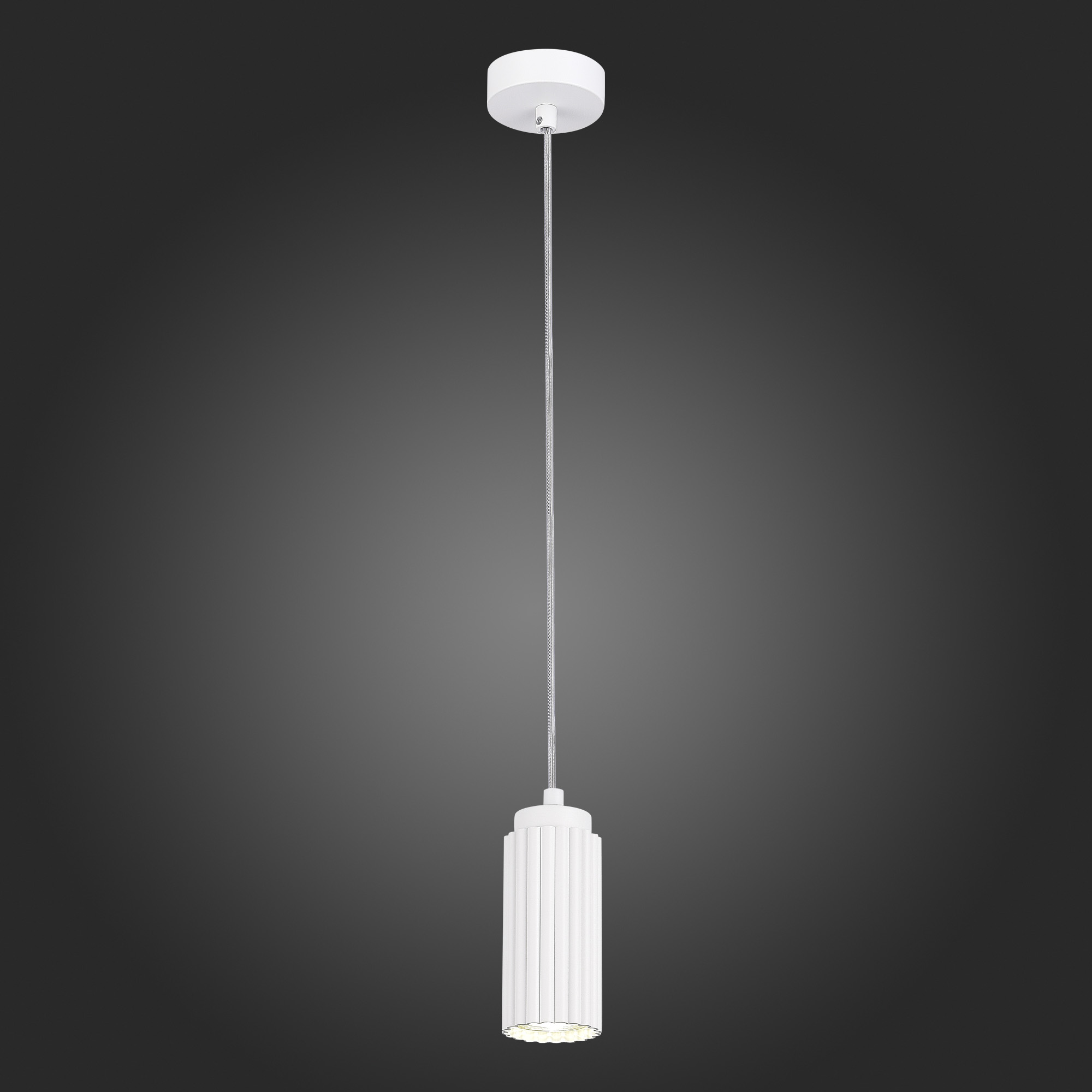 Подвесной светильник ST Luce Kendo SL1213.503.01