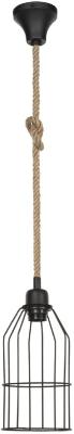 Подвесной светильник Toplight Alfreda TL1601H-01BK
