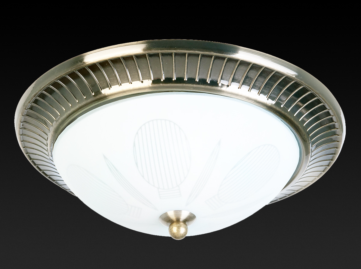 Накладной светильник Toplight Fae TL5060Y-02AB