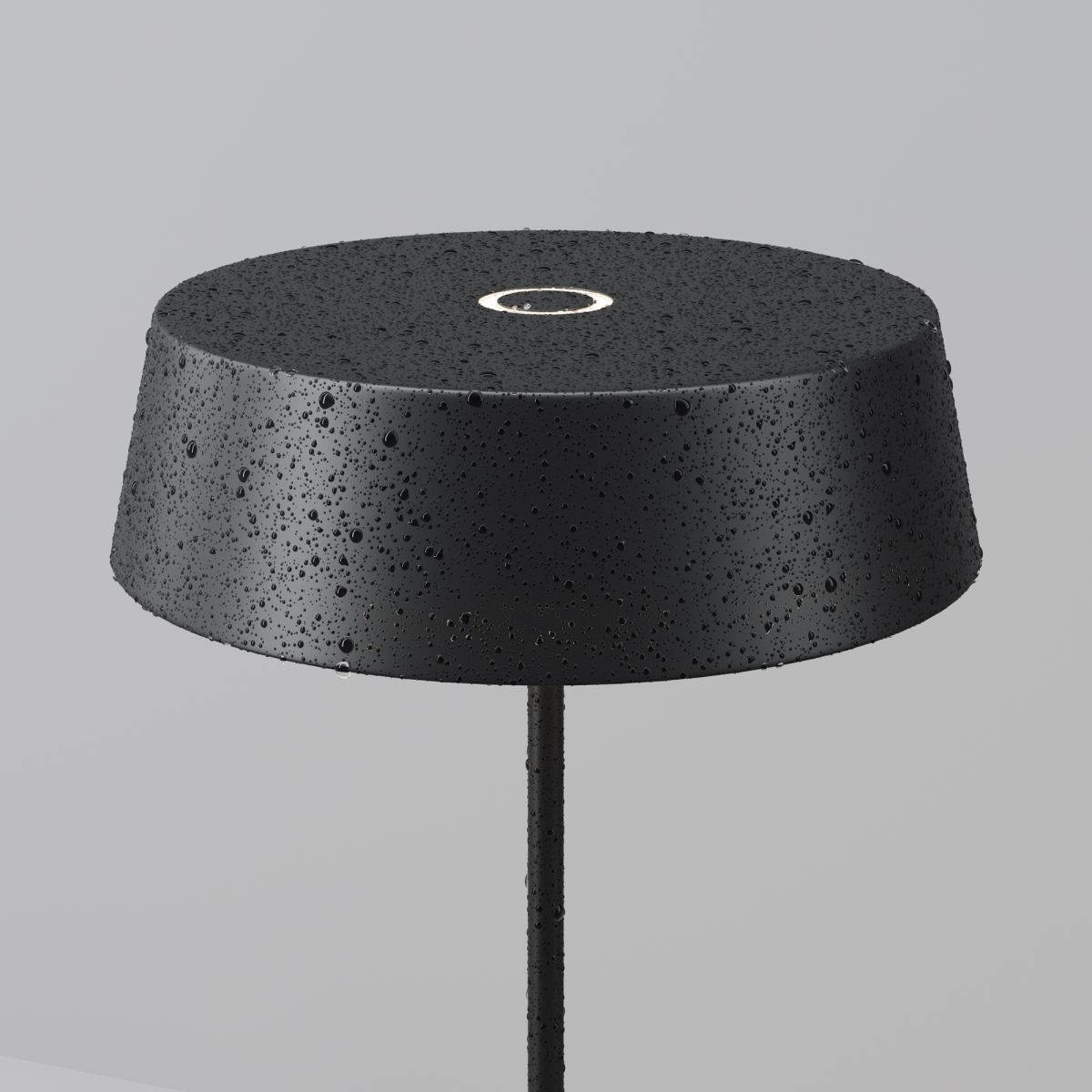 Уличный переносной аккумуляторный светильник Maytoni Porto O540TL-L2BCCT