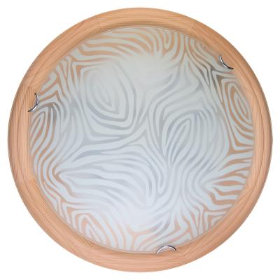 Настенно-потолочный светодиодный светильник Toplight Agatha TL9260Y-00PN