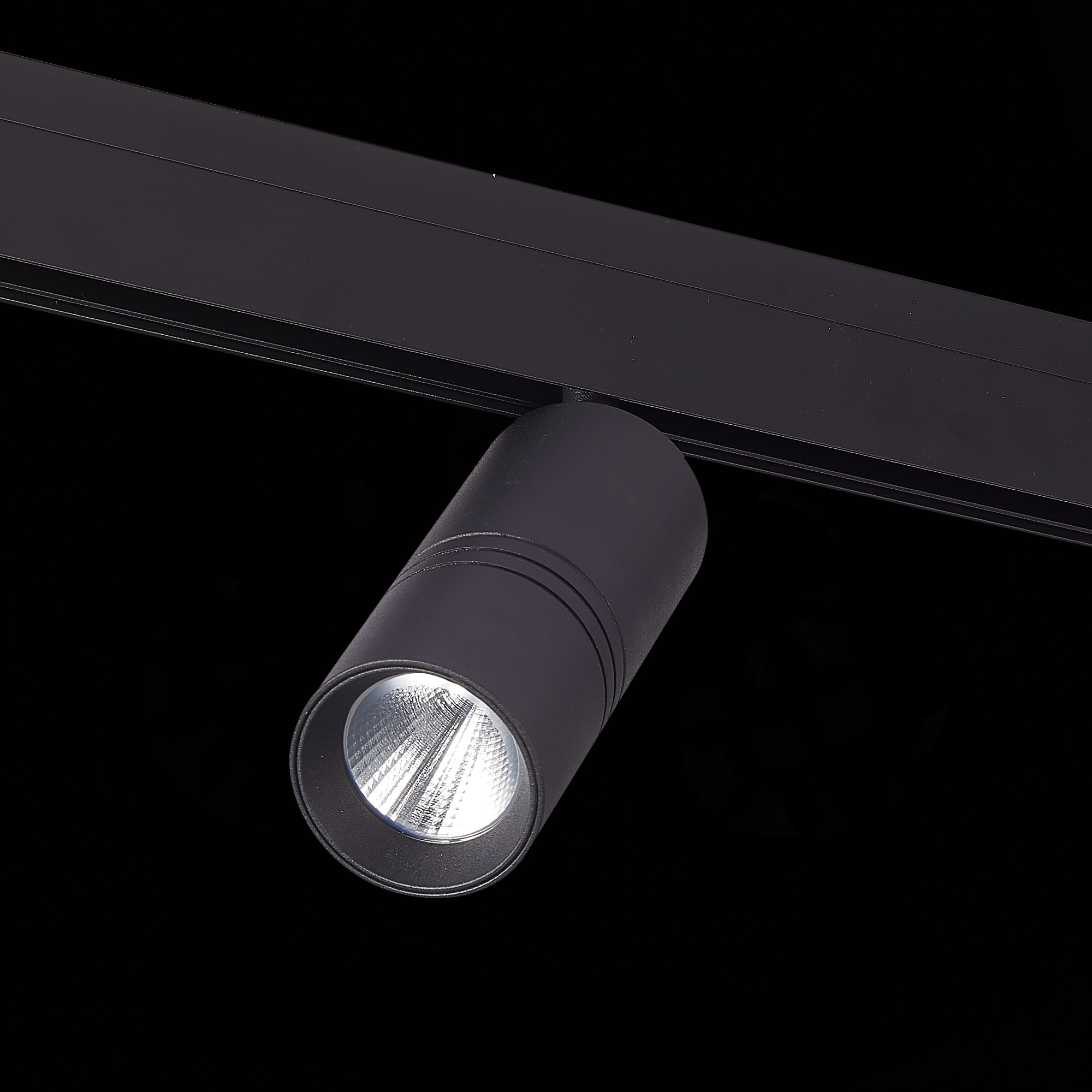 Трековый светильник ST Luce Lemmi ST365.446.18