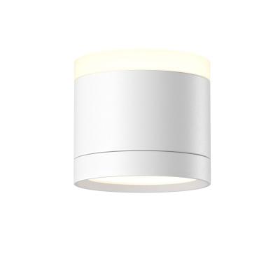 Потолочный светильник Maytoni Technical Pauline C120CL-GX53-W