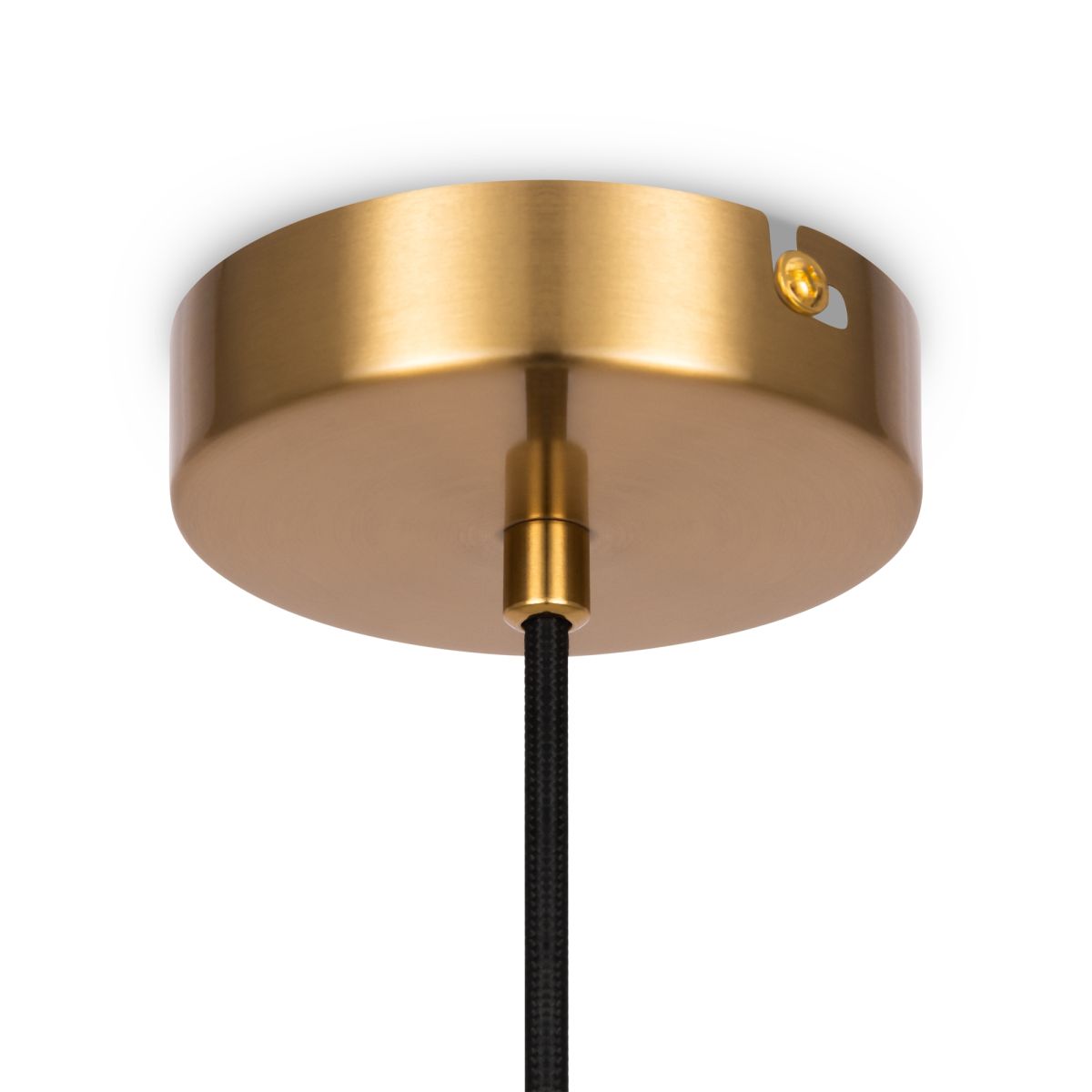Подвесной светильник Freya Terra FR5260PL-01BS