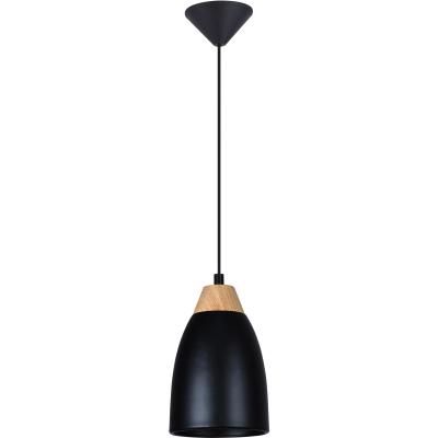 Подвесной светильник Toplight Leah TL0724H-2B