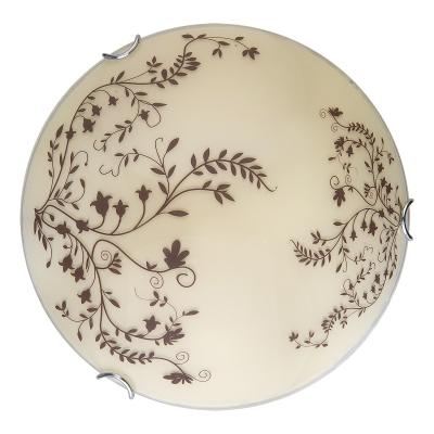 Настенно-потолочный светодиодный светильник Toplight Irene TL9630Y-00WH