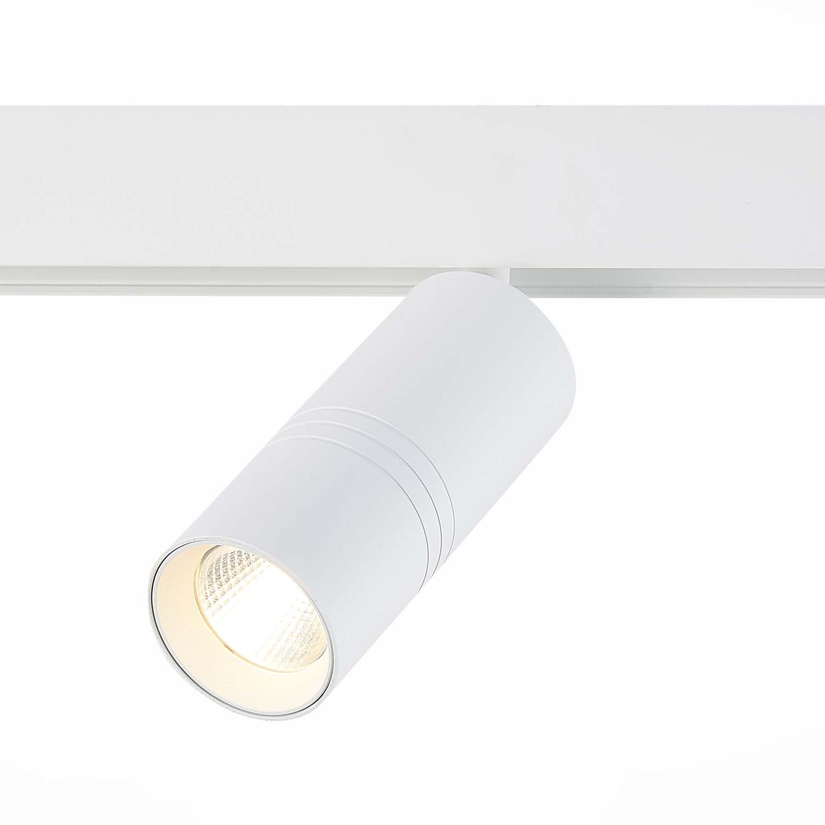 Магнитный трековый светильник ST Luce Lemmi ST365.536.18