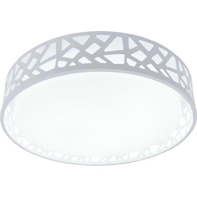 Потолочная люстра Toplight Leone TL1205X-72WH