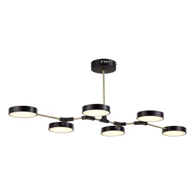 Потолочный светильник Evoluce Monta SLE6004-402-06