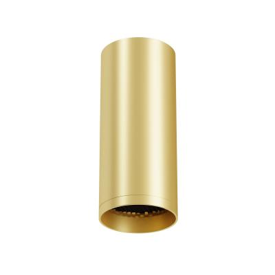 Потолочный светильник Maytoni Technical Focus C010CL-01MG-N
