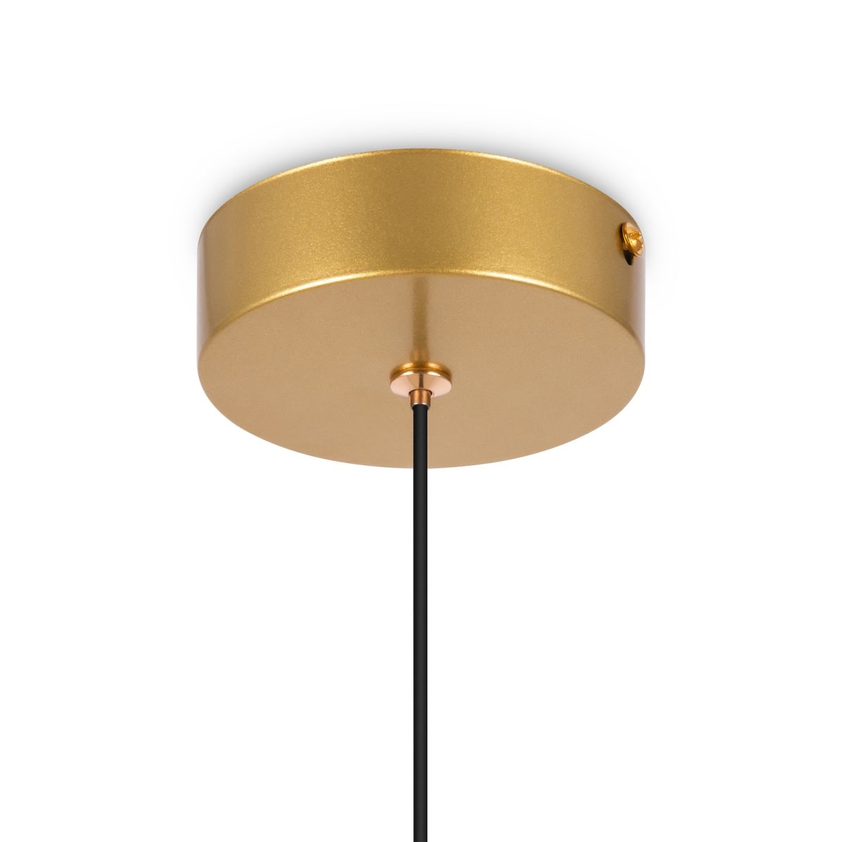 Подвесной светильник Freya Planetary FR6081PL-L10G