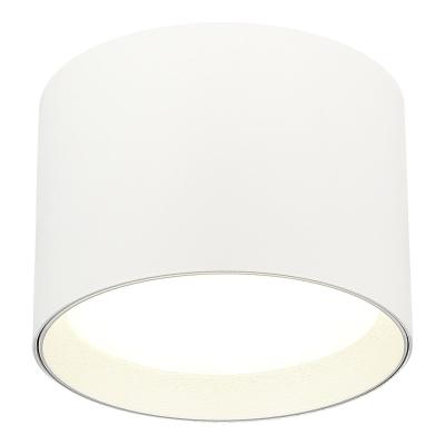 Потолочный светильник ST Luce  ST163.502.01.02