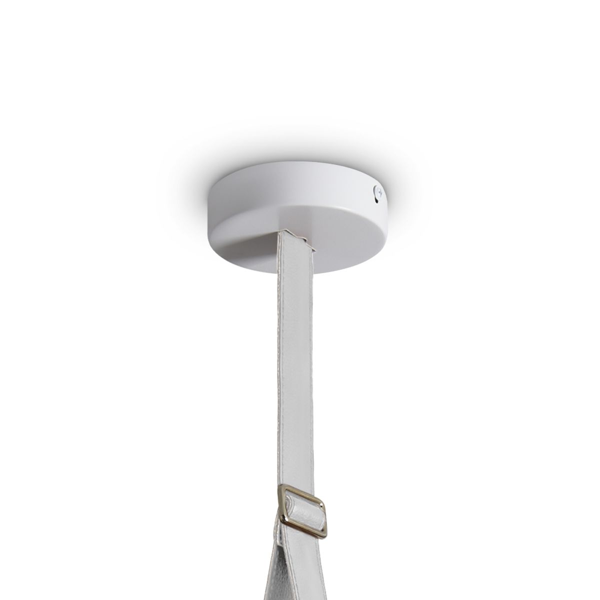 Подвесной светильник Freya Aurum FR5471PL-L12W