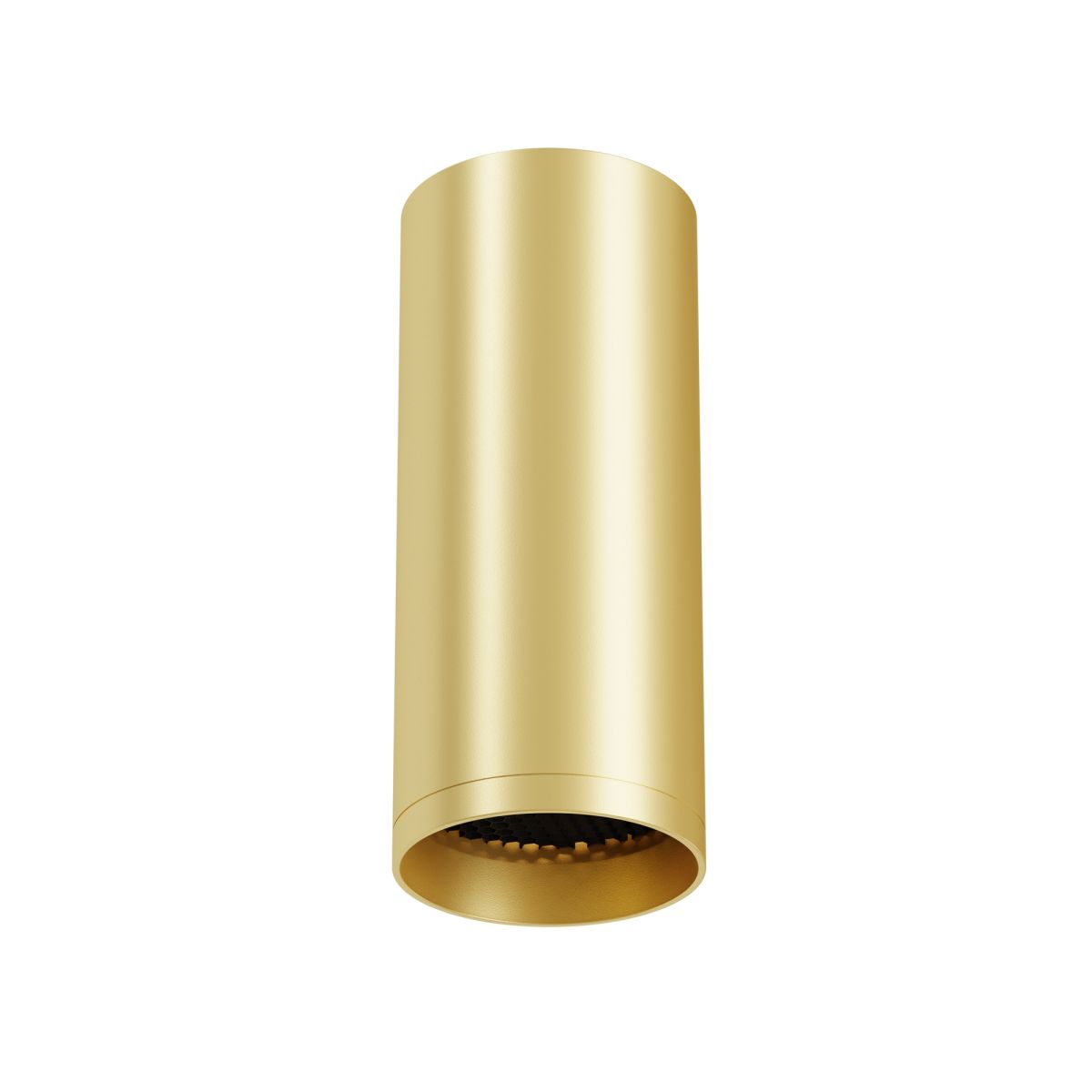 Потолочный светильник Maytoni Technical Focus C010CL-01MG-N