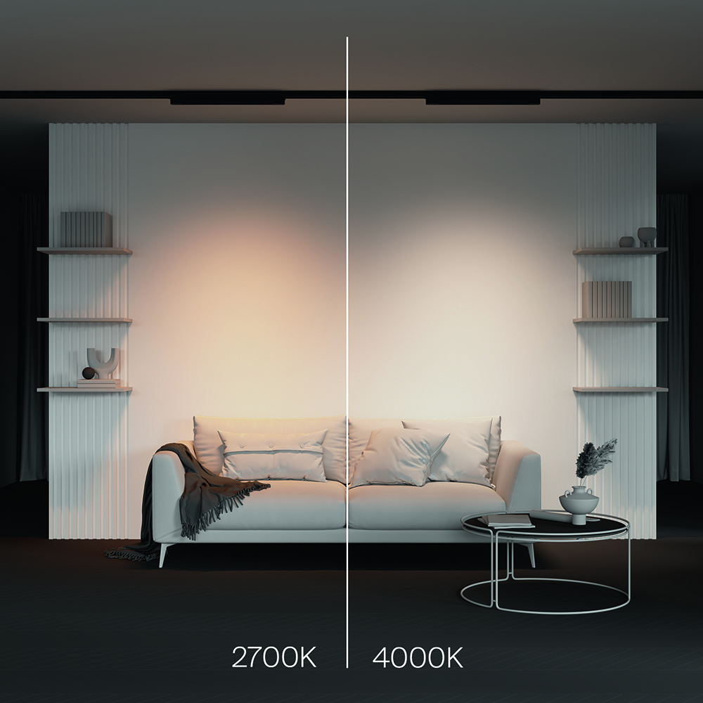 Трековый трехфазный светильник Maytoni Technical Basis TR196-3-20W4K-B(N)