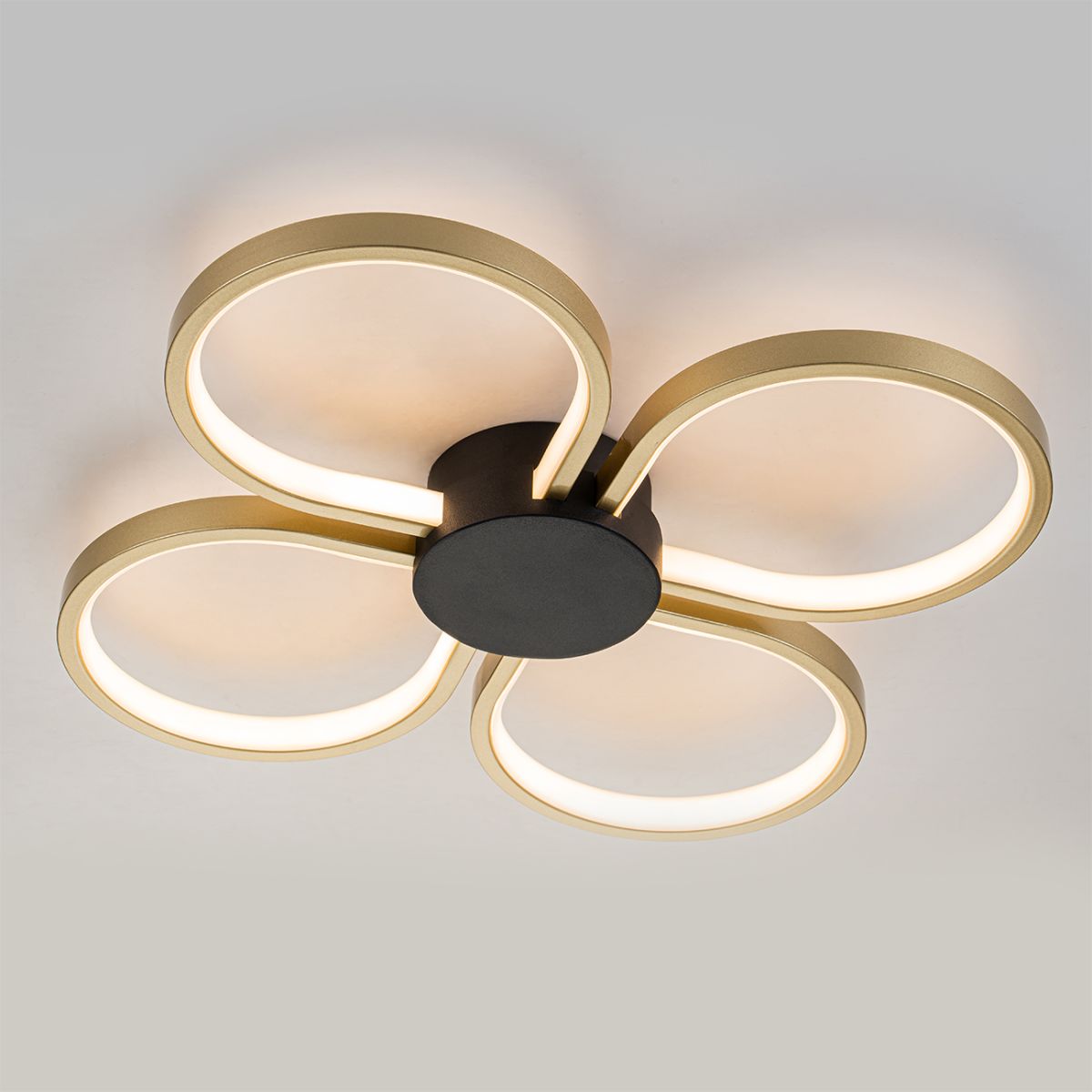 Потолочный светильник Escada Clover 10243/4LED