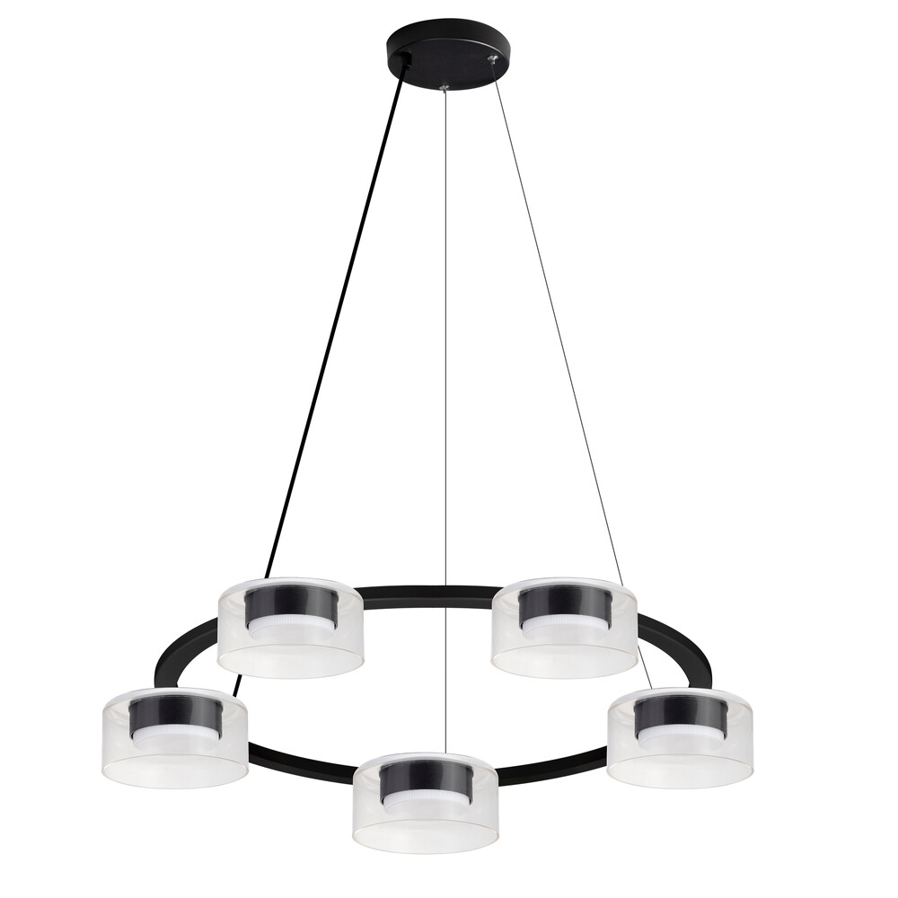 Подвесная люстра Arte Lamp Alius A8042SP-5BK