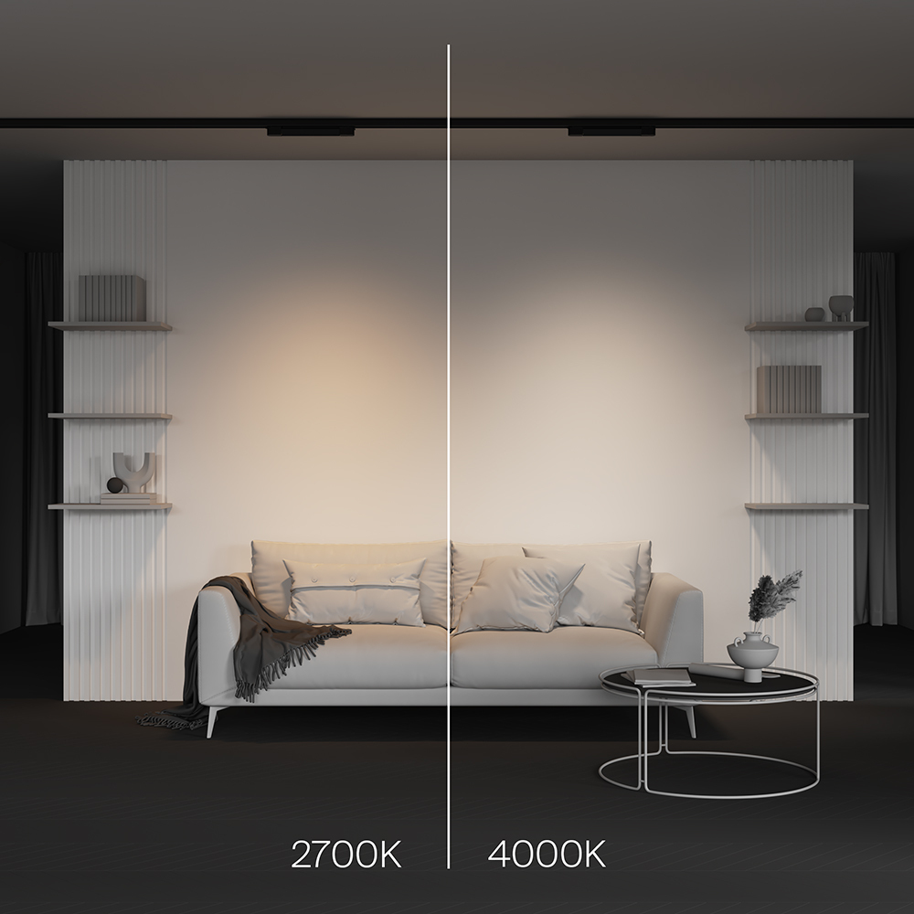Трековый трехфазный светильник Maytoni Technical Basis TR196-3-10W4K-B(N)