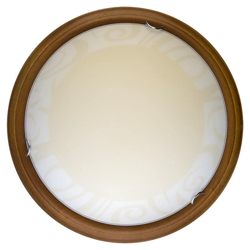 Настенно-потолочный светодиодный светильник Toplight Ginger TL9620Y-00OA