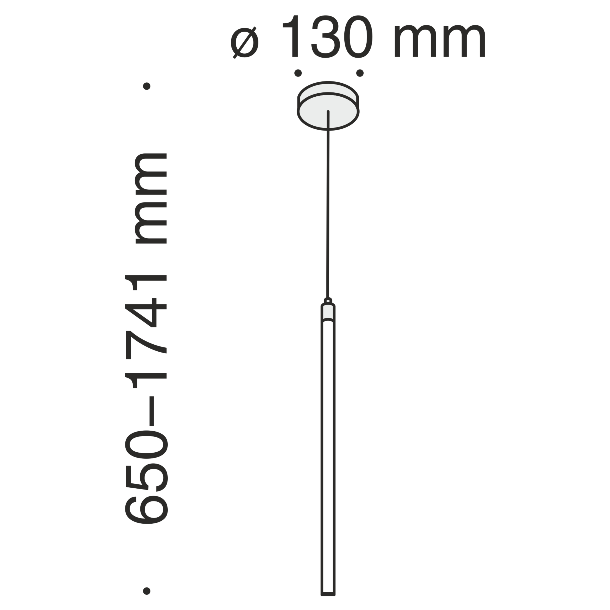 Подвесной светодиодный светильник Maytoni Ray P021PL-L10W