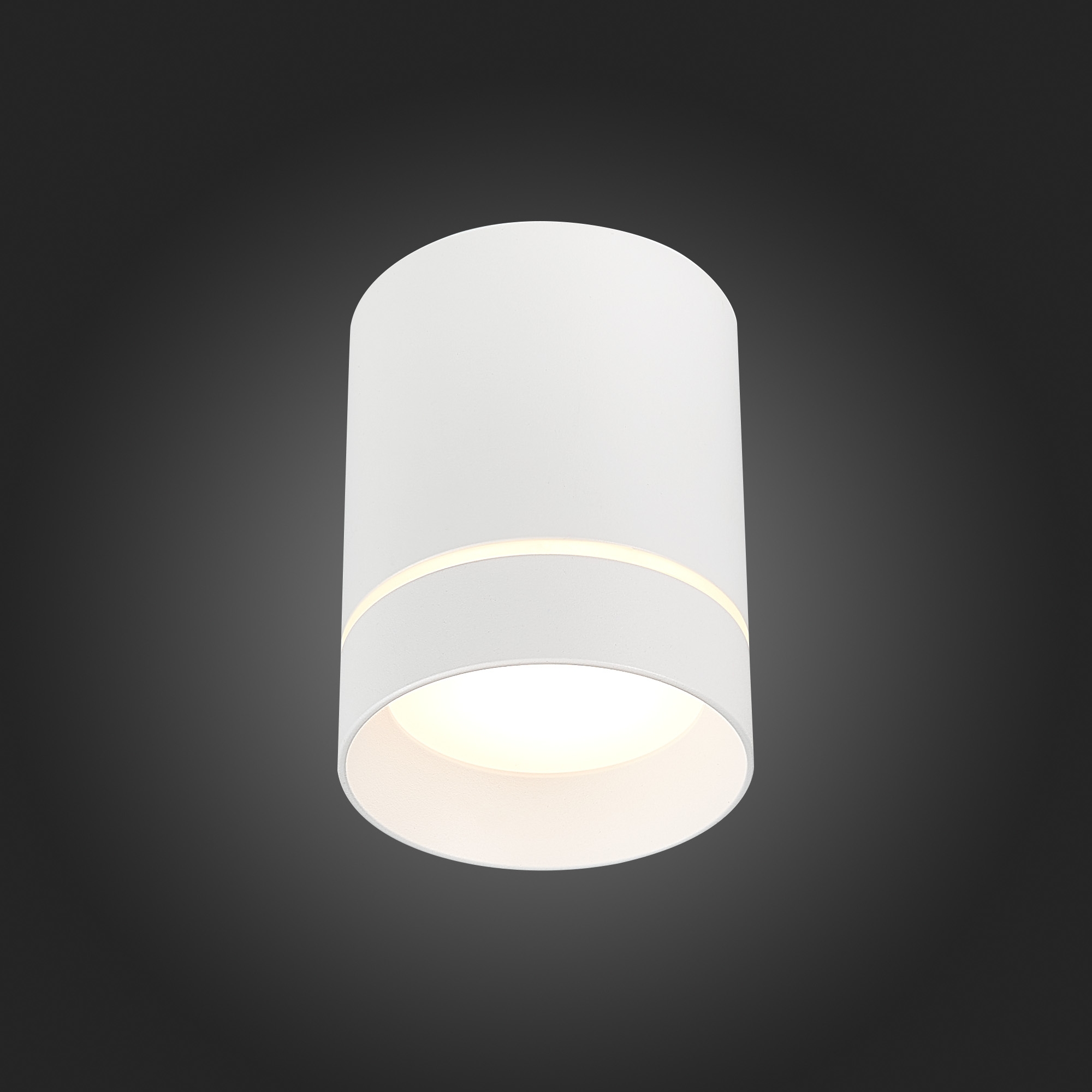 Накладной светильник ST Luce ST115 ST115.542.12