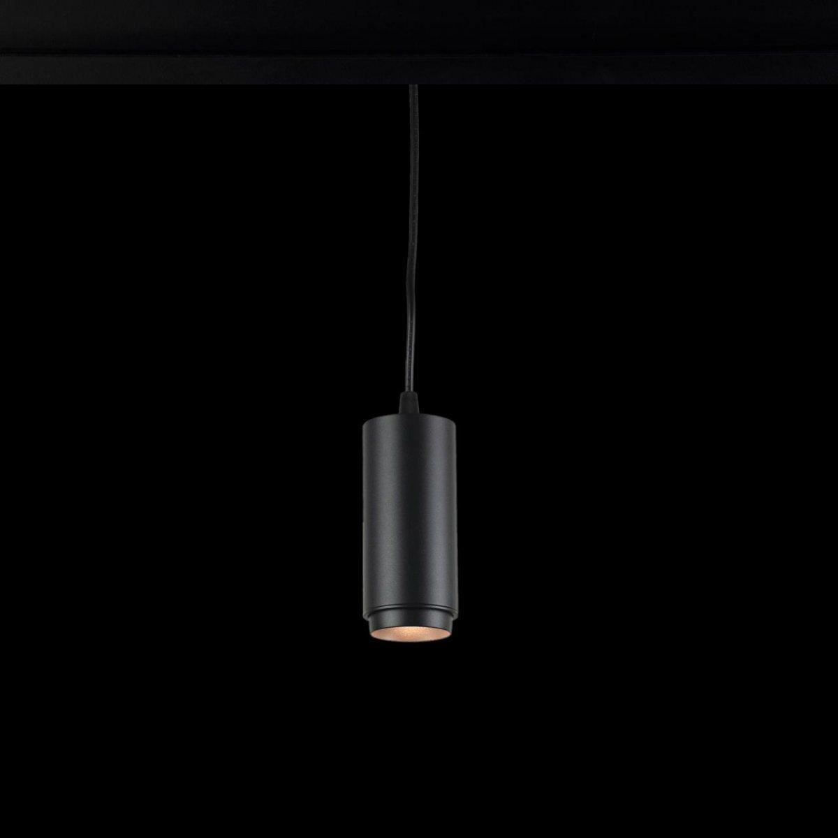 Трековый светодиодный светильник LOFT IT Tech T046-06P