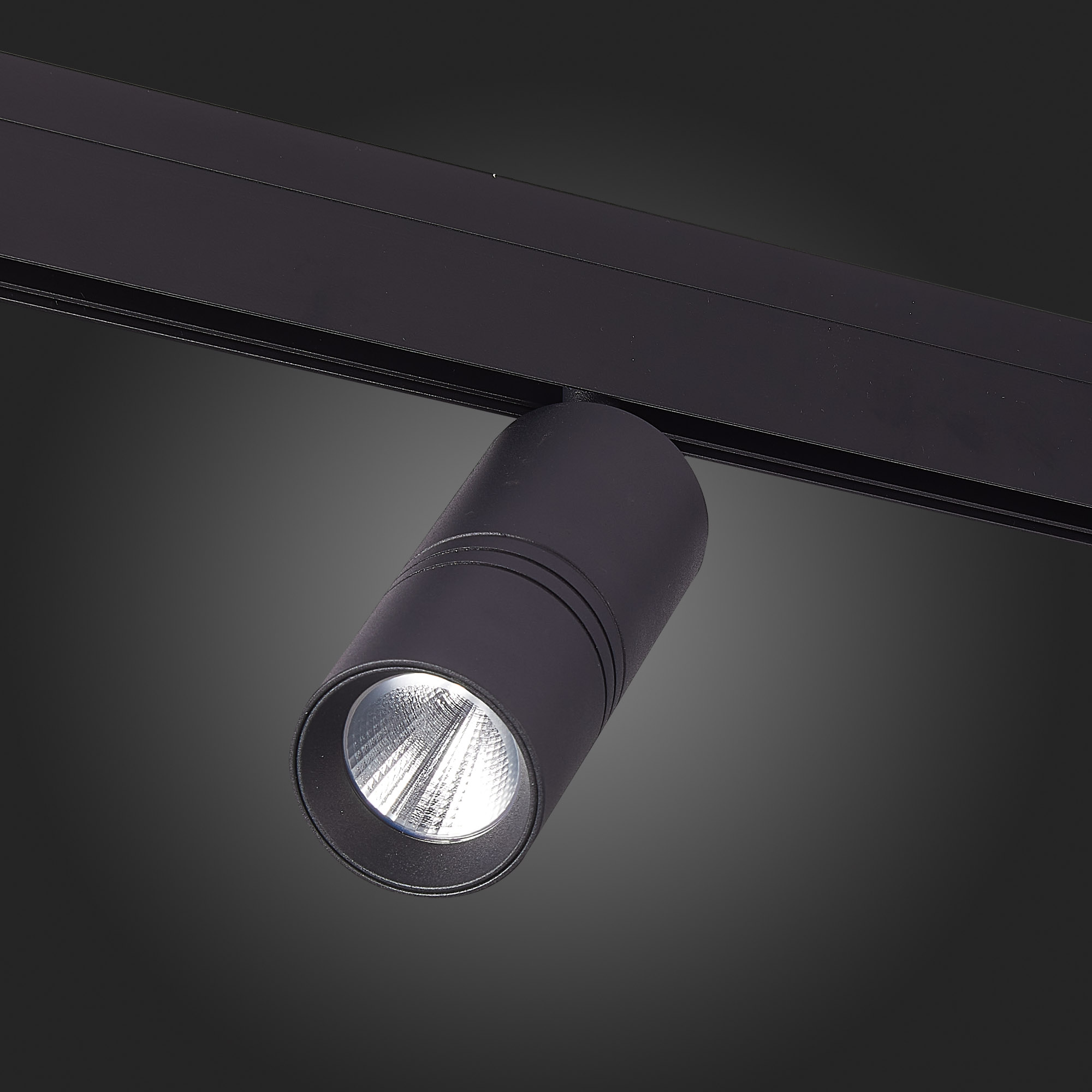 Трековый светильник ST Luce Lemmi ST365.436.18
