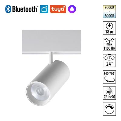 Трековый светильник Novotech Shino Flum 359689