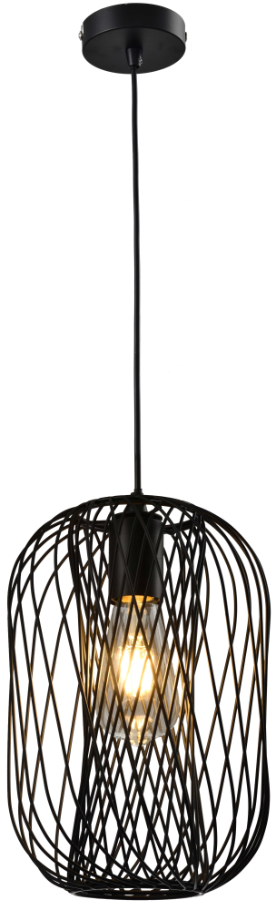 Подвесной светильник Toplight Debra TL1189H-01BK