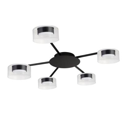 Потолочная люстра Arte Lamp Alius A8042PL-5BK