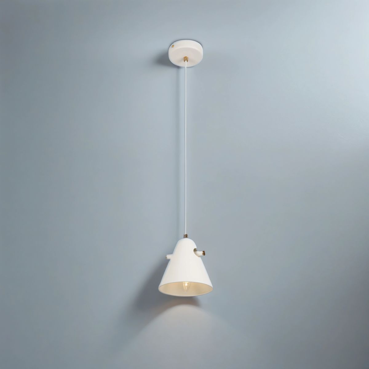 Подвесной светильник Freya Cozy FR5211PL-01W