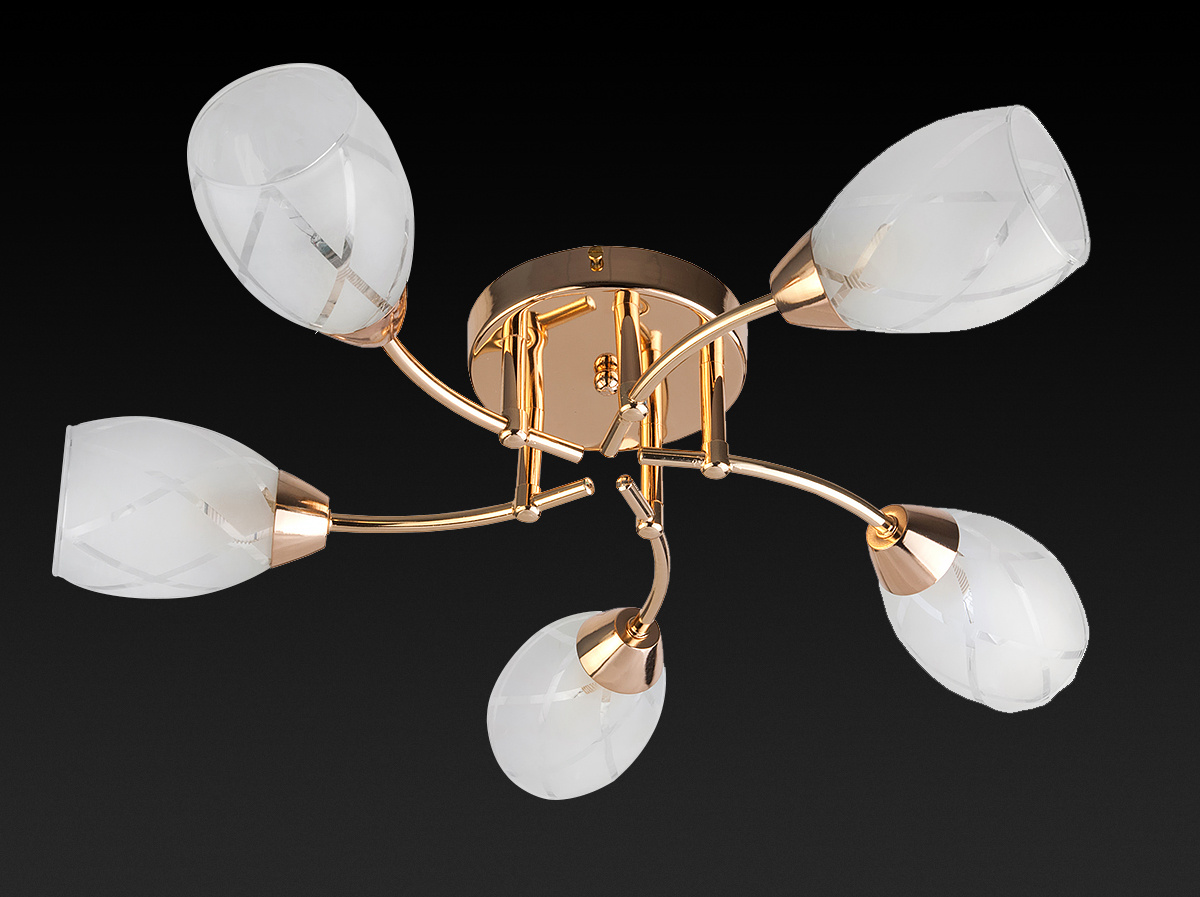 Потолочная люстра Toplight Lucy TL7120X-05FG