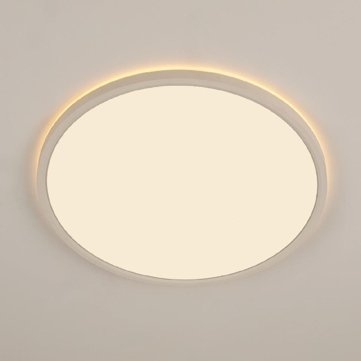 Потолочный светильник Citilux Norma CL748400
