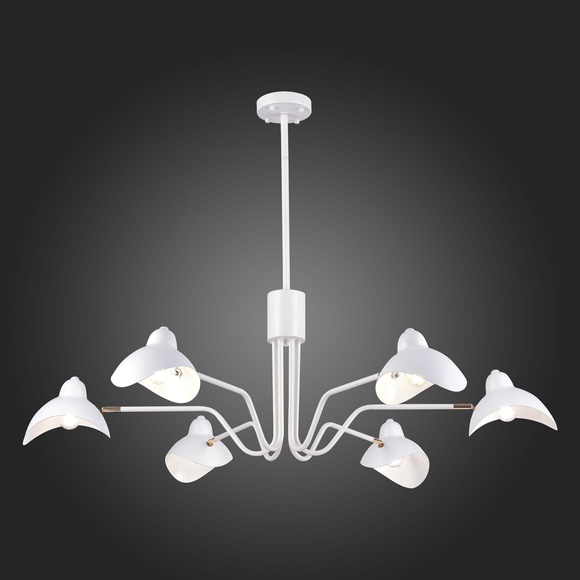 Люстра на штанге ST Luce Minne SL1801.513.06