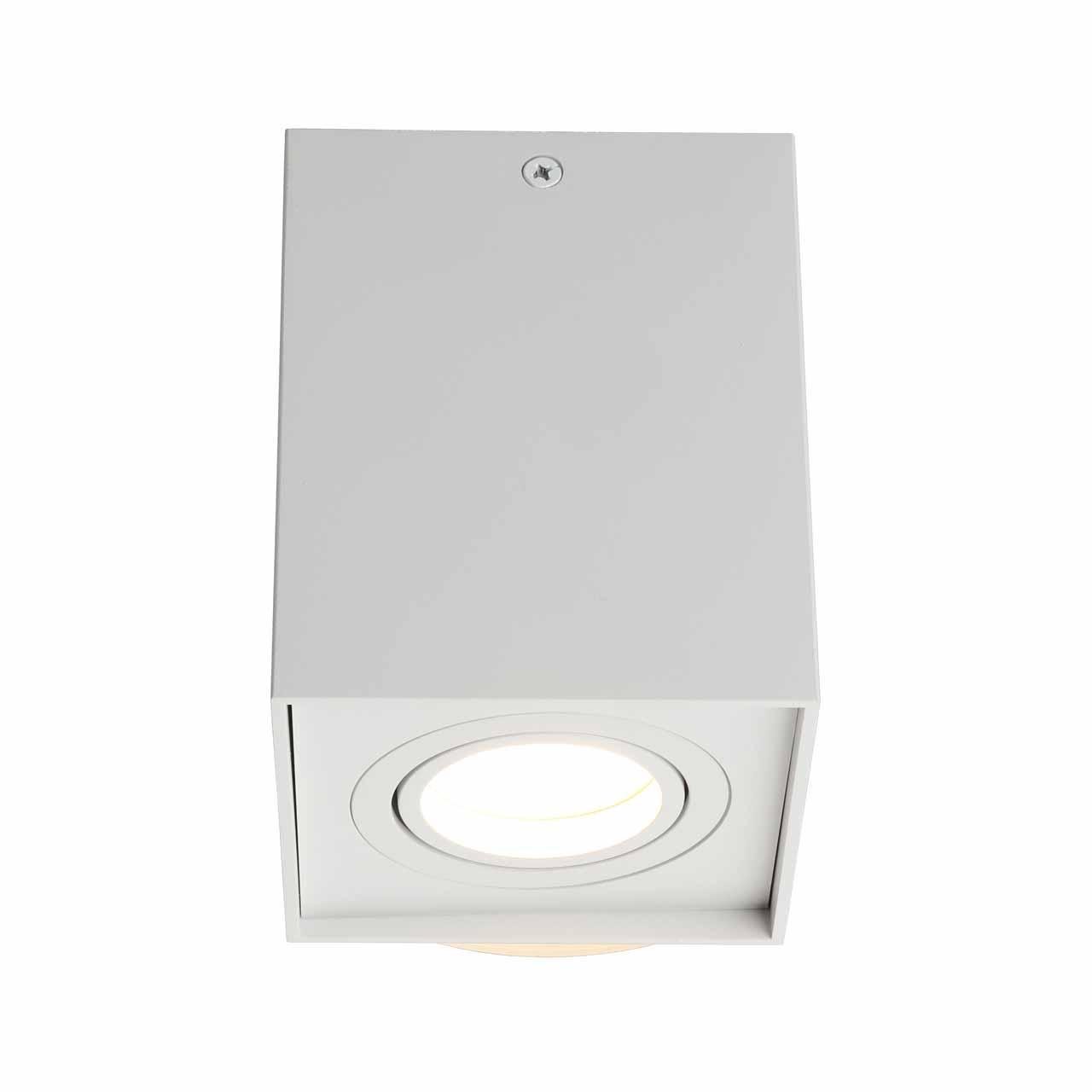 Потолочный светильник Omnilux Feletto OML-101109-01