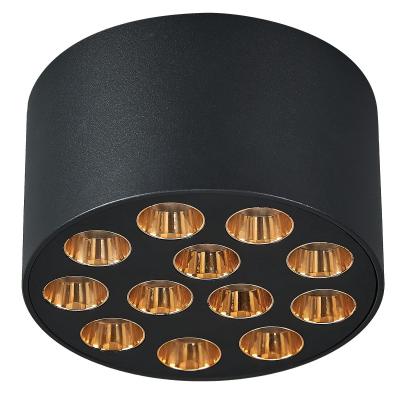 Потолочный светильник Lightstar Guarda 080942