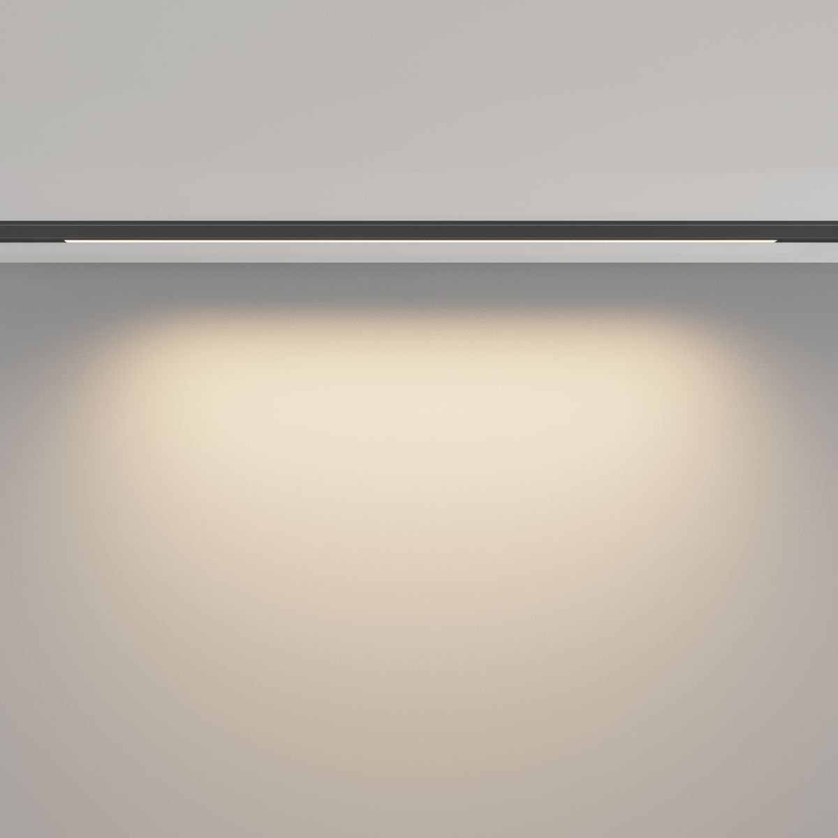 Трековый магнитный светильник Maytoni Basis TR190-1-10W3K-B