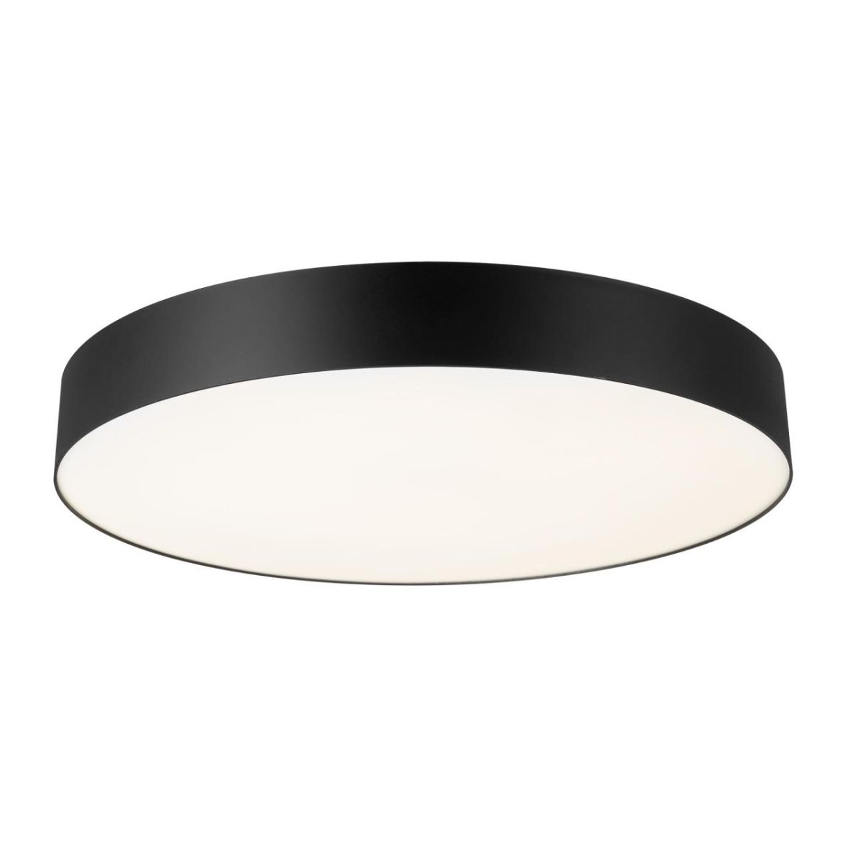Потолочный светильник Citilux Bart CL755491