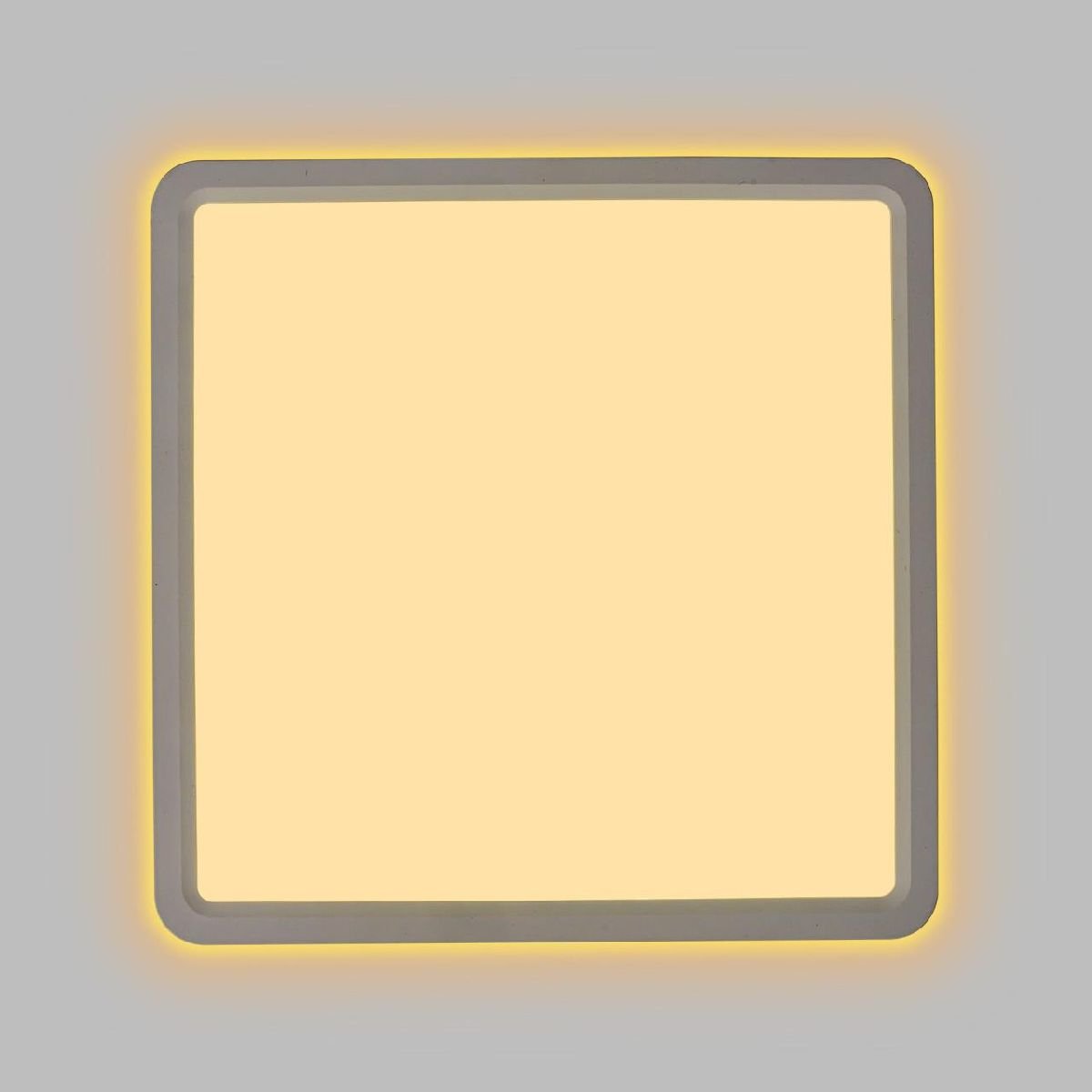 Настенно-потолочный светильник Citilux Norma CL748K200
