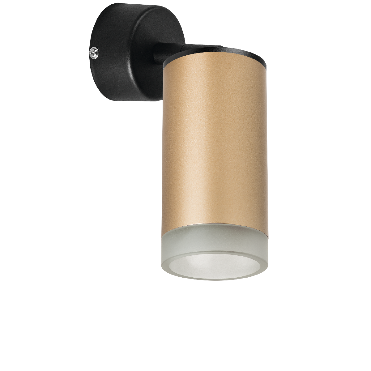 Встраиваемый спот Lightstar Rullo RB44030 (214440+590007+202430)