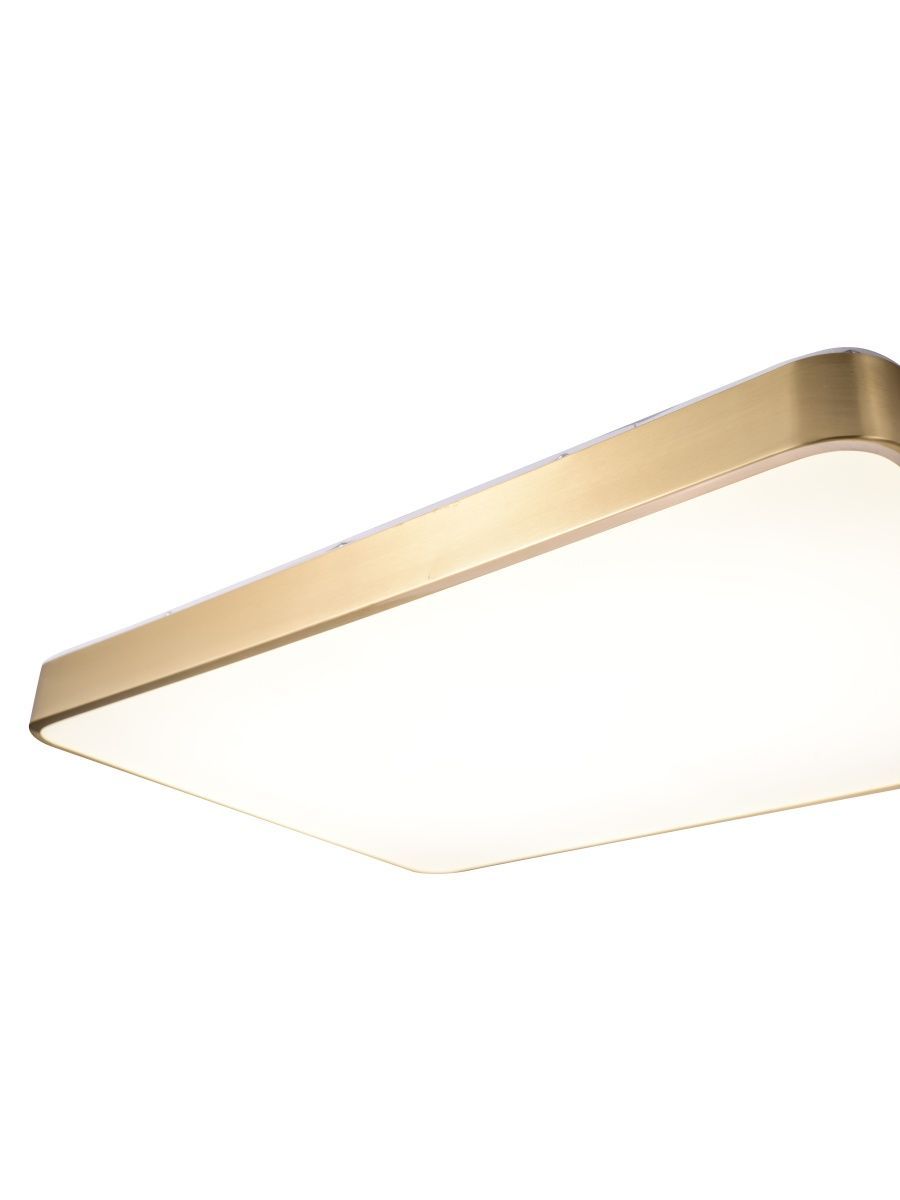 Потолочный светильник Zortes Monna ZRS.1209.09