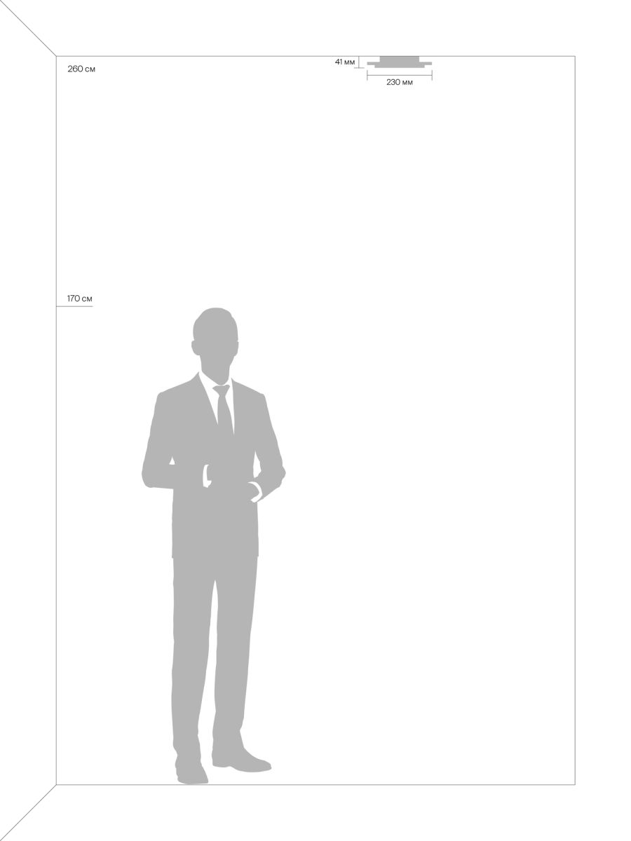 Потолочный светильникк Freya Iona FR10019WL-L23W