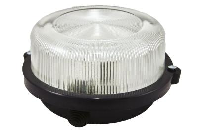 Настенно-потолочный светильник TDM Electric НПП 03-100-005.03 SQ0311-0004